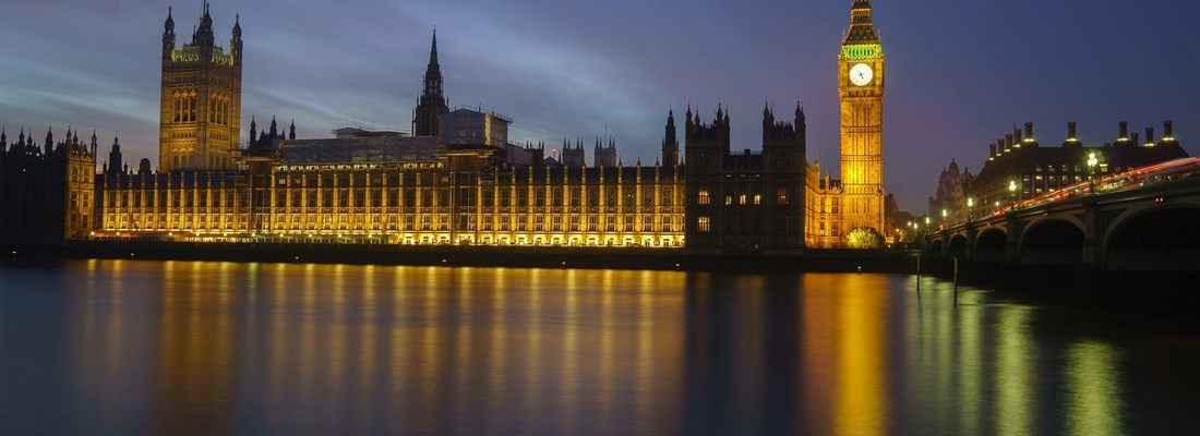 Westminster Palace at night